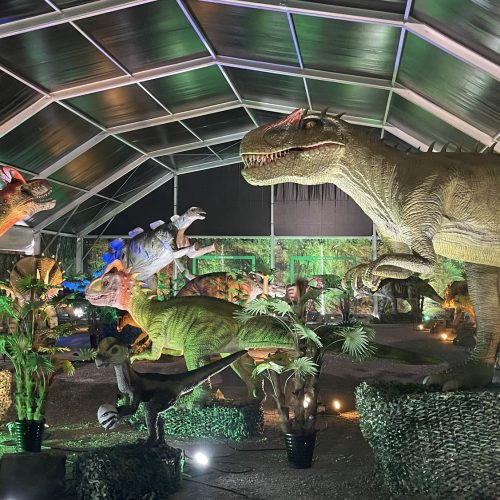 Dino Expo World L'Exposition de Dinosaure XXL en tournée dans toute la France